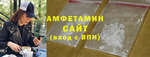 гашик Няндома
