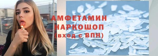 гашик Няндома
