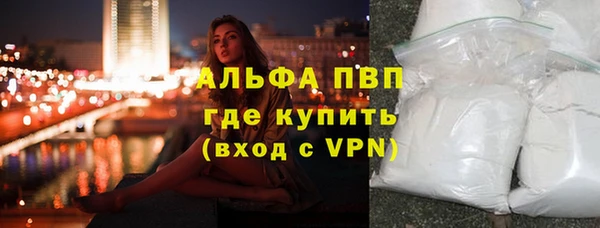 гашик Няндома