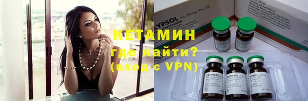 гашик Няндома