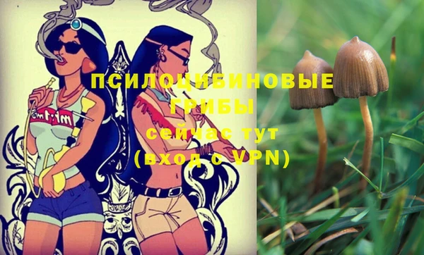 гашик Няндома
