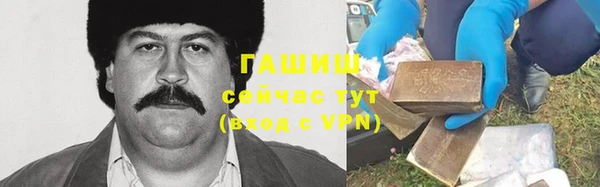 гашик Няндома