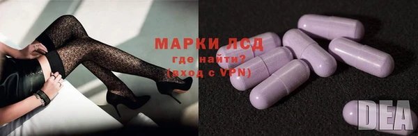 шишки Нязепетровск