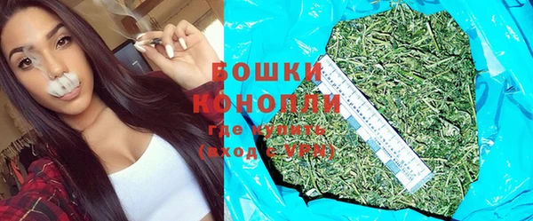 шишки Нязепетровск