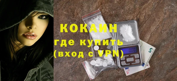 гашик Няндома