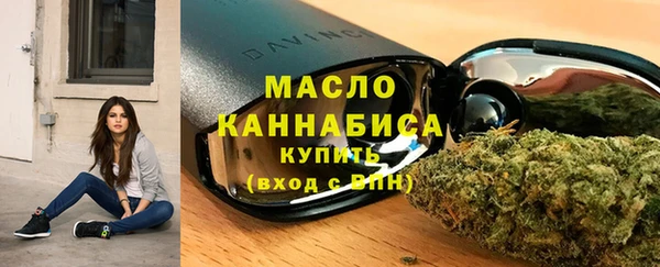 гашик Няндома