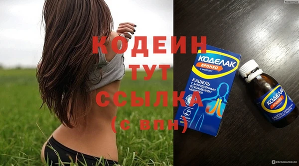 шишки Нязепетровск