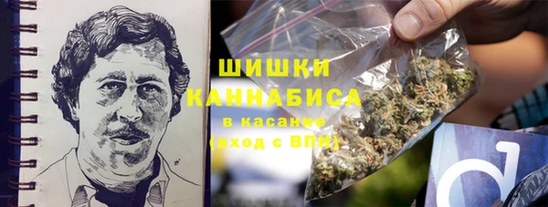 дурь Нягань