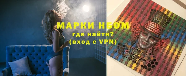 гашик Няндома