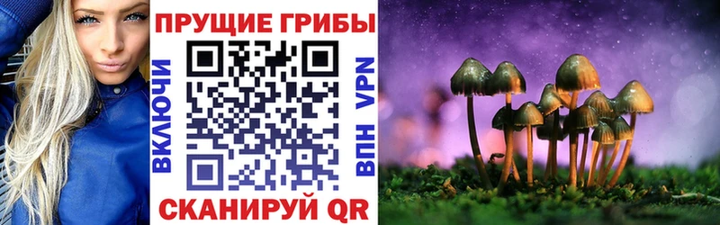 Галлюциногенные грибы мицелий  наркотики  Ильский 